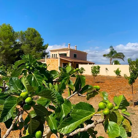 Son Amal * Algaida (Mallorca)