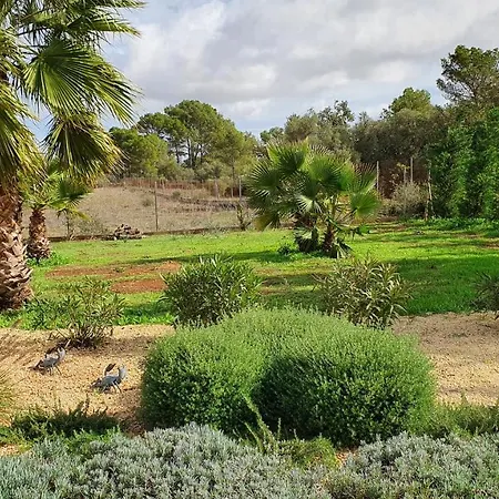 Son Amal Holiday home *