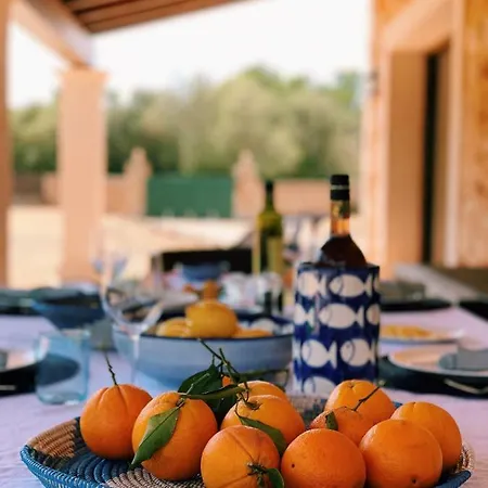 Son Amal Holiday home Algaida (Mallorca)